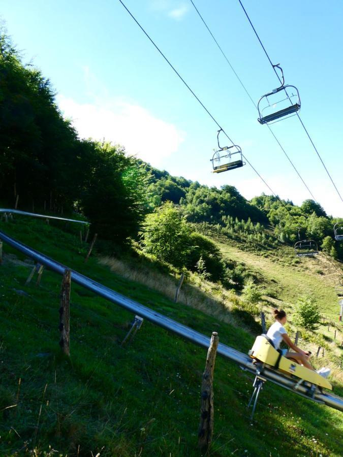 Pleine Nature Pied Pistes Piscine Chauffee Ustou Eksteriør billede